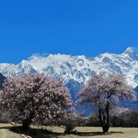Suosong Mountain Lodge (Suosong)
