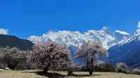 Suosong Mountain Lodge (Suosong) - con vistas a la montaña
