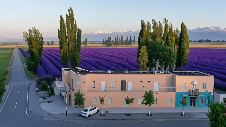 Xianyun  homestay Отели рядом с достопримечательностью «Xinyi Self-Drive Campground (Sayram Lake Branch)»