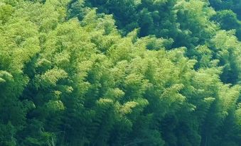 Scenic View around the Mountains and Starry Sky Resort