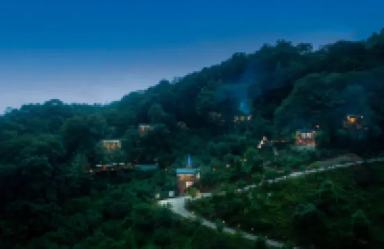 Misty Forest Retreat