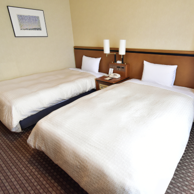 スターゲイトホテル関西エアポート Rooms