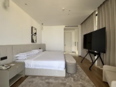 ザナドゥ インターナショナル リゾート