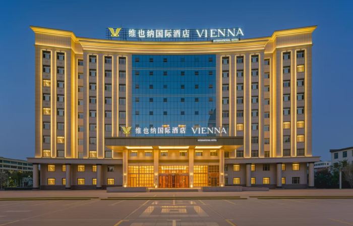 Vienna International Hotel (Bole Branch)