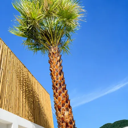 Tim Kanya Pranburi - Mountain view - Three bedroom