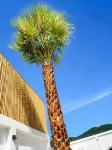 Tim Kanya Pranburi - Mountain view - Three bedroom -  case vacanza in affitto