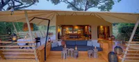 Serengeti Bushtops Camps - 5-Sterne