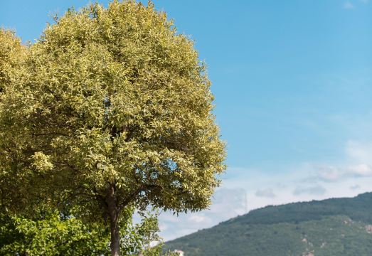 알로프트 바 라운지