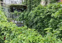Just Like First See Homestay - 2-Star