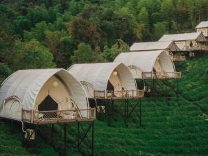 Chayeli Wild Luxury Tent Camp