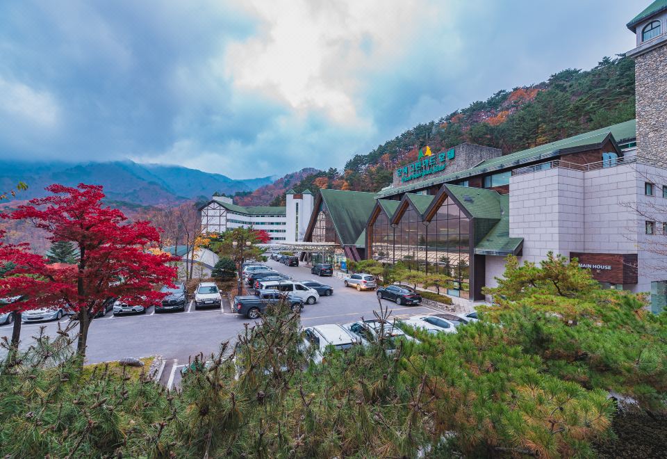Osaek Greenyard Hotel