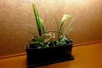 Shuhokaku Kogetsu - balcony