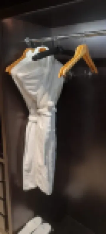 Wyndham Residences the Palm