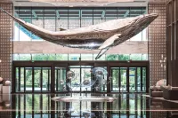 إنتركونتننتال شيامن باي آيتش جي فنادق في 