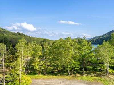 ホテルからの眺望 亀の井ホテル 奥日光湯元の写真