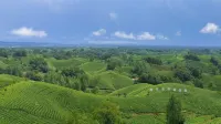 金霞·Sunset View 茶山觀景度假民宿（信陽文新茶村店） - 山景