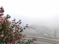 Yundu Panjing Mountain House (Longji Jinkeng Terraces Shop) Hotels in Longsheng