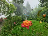 Sanctuary @Dhulikhel - Виллы
