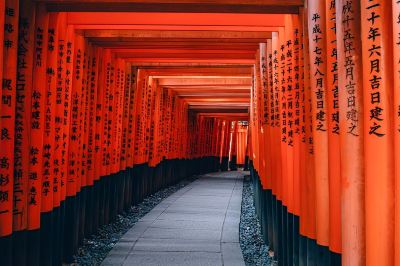 ホテル周辺 紡 東寺東門前の写真