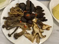 Kangding Yagulinka Hot Spring Hotel