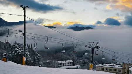 Kitashiga Lime Light