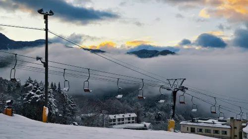 Kitashiga Lime Light