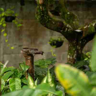 Suwa Villa Arenal Hotel Exterior