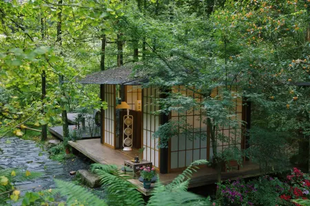 Qingcheng Mountain is not staying. Jiuzhi Forest Private Tang Homestay