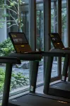 The Dragon - Gym
