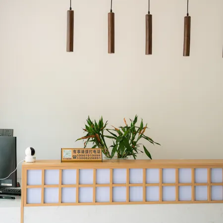 Longhushan Daoxi Chinese Inn Homestay