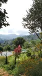 Flora Prairie at Mae Rim, Chiang Mai