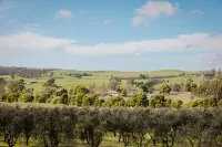 The Olive Leaf Retreat