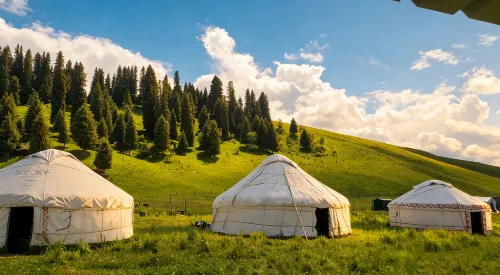 Sayram Lake White Yurt Tribe Homestay