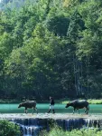 荔波·瀾嶼樟江DUSKHAVEN|設計師智能影音民宿（荔波古鎮店） - 山景