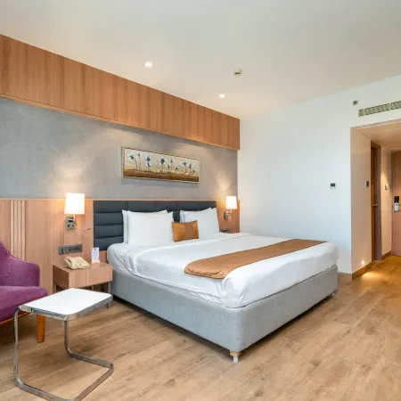 Express Inn the Business Luxury Hotel