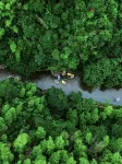 Semi-Wild · Crest Wild Pool & Family Vacation Homestay - วิว