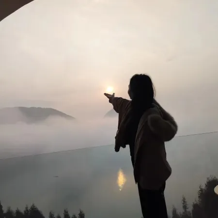 Wawushan Linghu Yunshu Hotel
