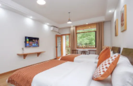 青城山不晚民宿