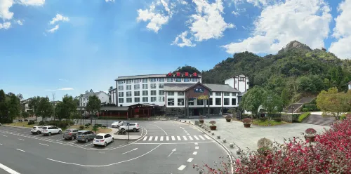 DaHuang Forest Wilderness Old Tree White Tea Hotel