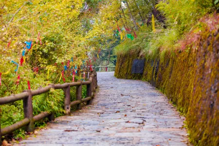 Qiangshan Shiju Отели рядом с достопримечательностью «Ape Cavern in Jiuhuang Mountain»