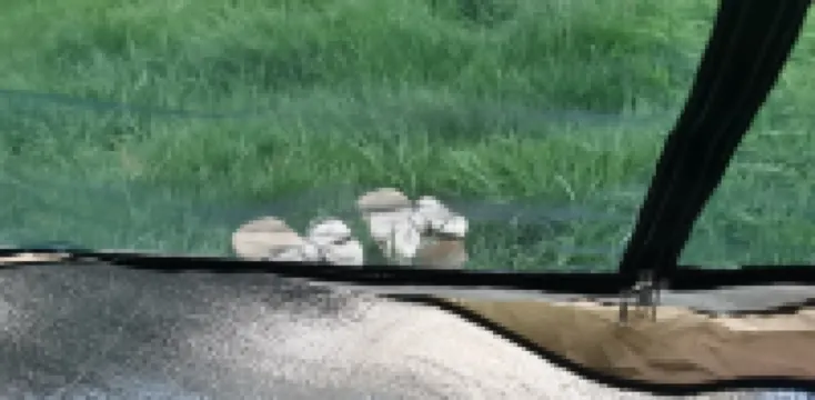 Tonghai Meixingkong Homestay