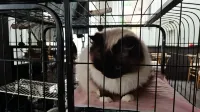 Shengsi Woli Homestay (Nanchangtu Beach Branch) - Træningscentre