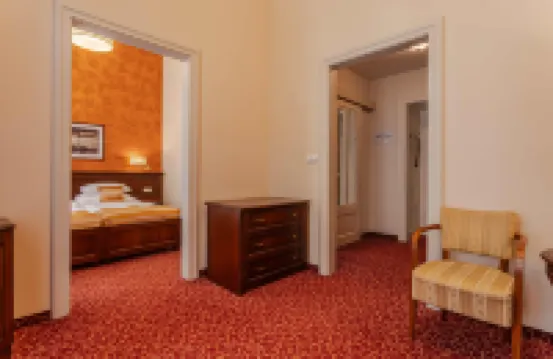 Hotel Radium Palace Hotels in Karlovy Vary District