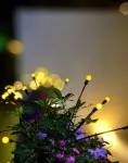 Huguan Xinghengyang Holiday Hotel Hotels in Huguan