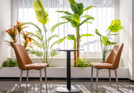 Quanzhou Tongban Boutique Hotel Отели рядом с достопримечательностью «CPC Quanzhou Committee Party School»