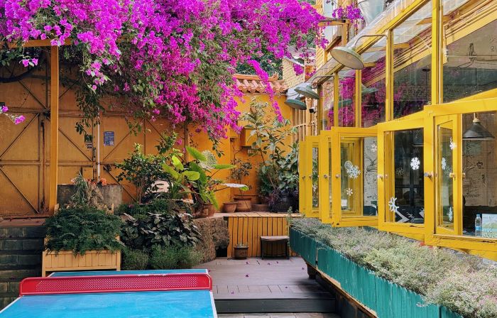 Cloudland International Youth Hostel