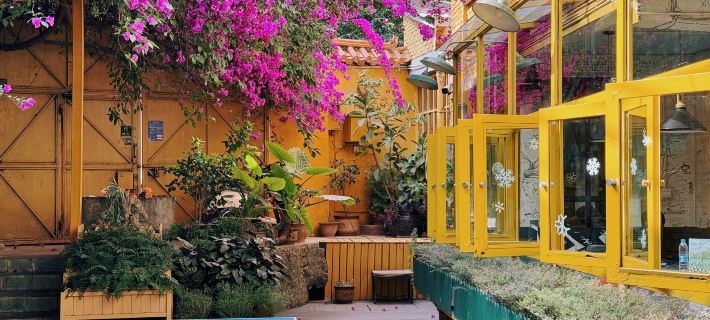 Cloudland International Youth Hostel Hotels in Kunming