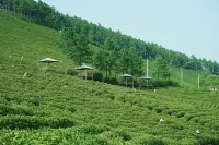 Qinghe homestoel - Vuoristonäköala