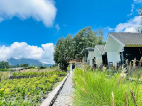 The Iris Kintamani Các khách sạn gần Núi Batur
