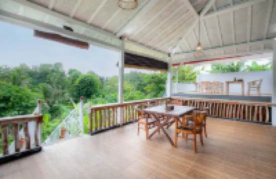 เดอะ คลีบ จังเกิล รีสอร์ท